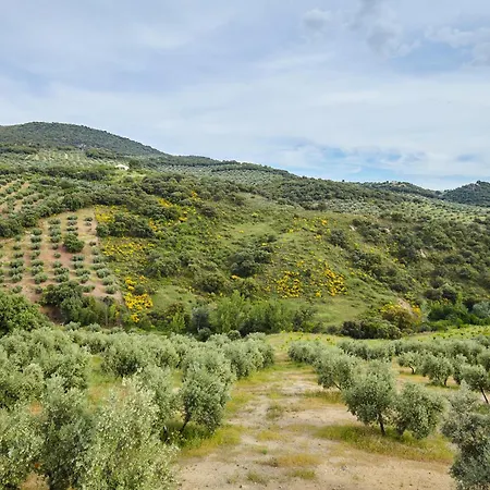 Apartment Cortijo Rural Majolero 1 *